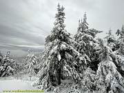 fichtelberg23.jpg